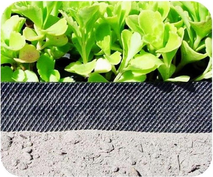Actual product image Green Split Plastic lawn edging tape 15cm x 6m (600 cm)