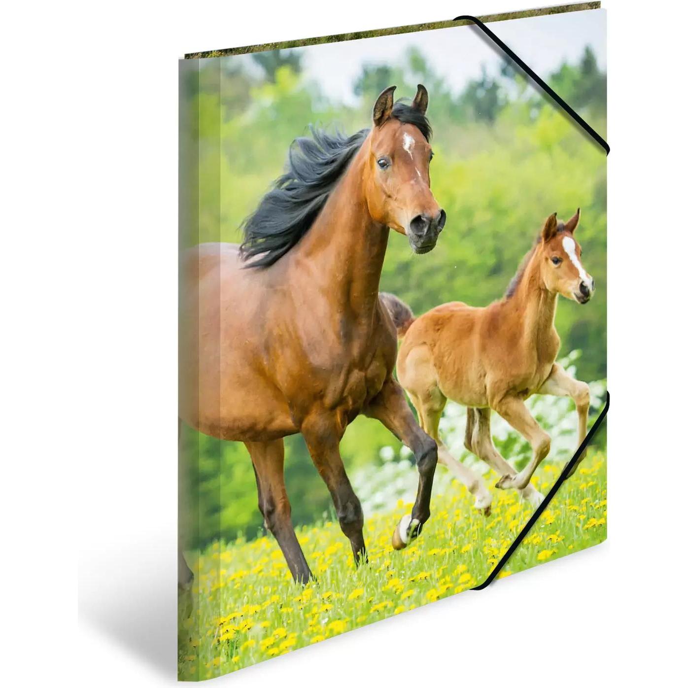 Herma, Mappe, Eckspannermappe Pferde (A3, 1 x)