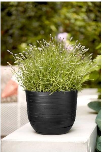 Produktbild Elho Fuente Rings (46.40 x 38.30 cm)
