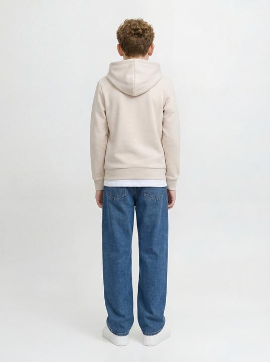 Produktbild Jack & Jones Jrebzack Sweat Hood Noos Jnr (152)