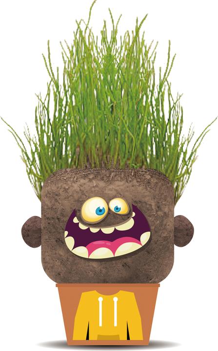 Hape Plant Pals-Happy Monsters