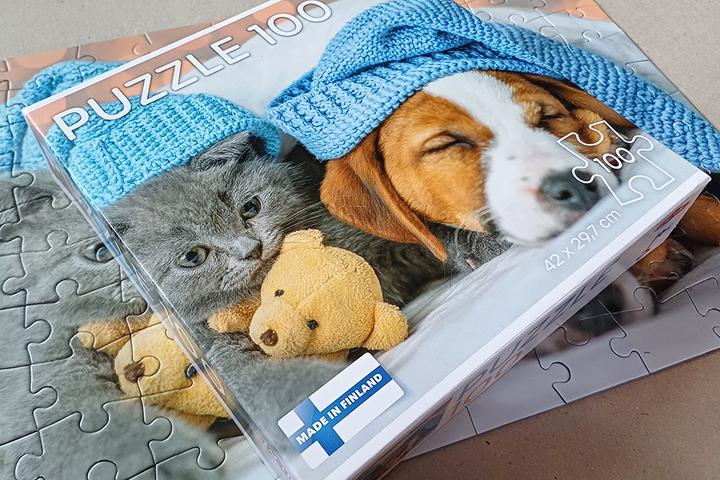 Actual product image Selecta Spielzeug Cute kitten and sleepy dog jigsaw puzzle, 100 pieces. (100 pieces)