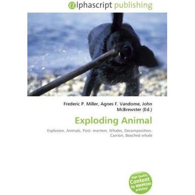 Exploding Animal, Fachbücher