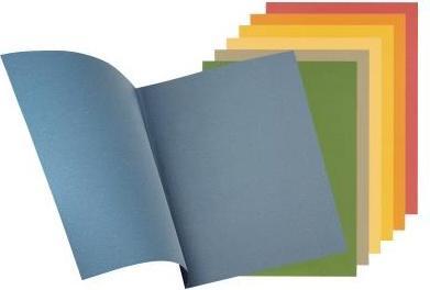 Actual product image Falken Aktensammler (A4, 1 x)