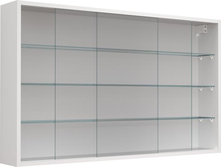 Actual product image VCM Hängevitrine Wandvitrine Glas Drivalo XL