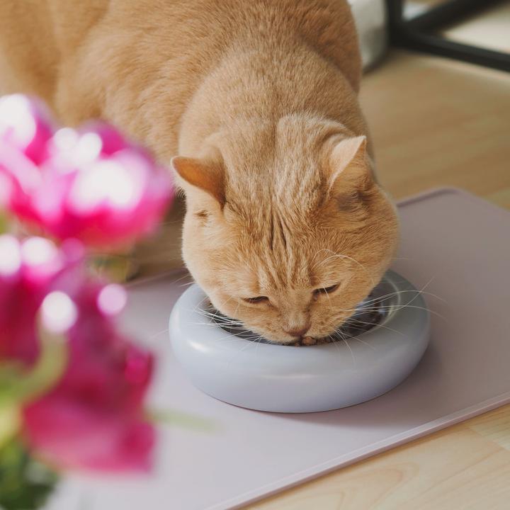 Image du produit LucyBalu DROP Katzennapf