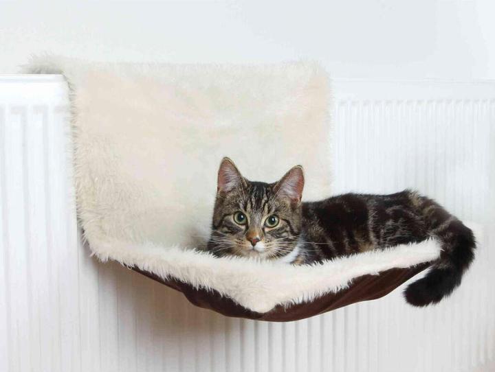 Produktbild Trixie Prince (Katze)