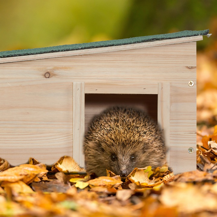 Actual product image Relaxdays Hedgehog House