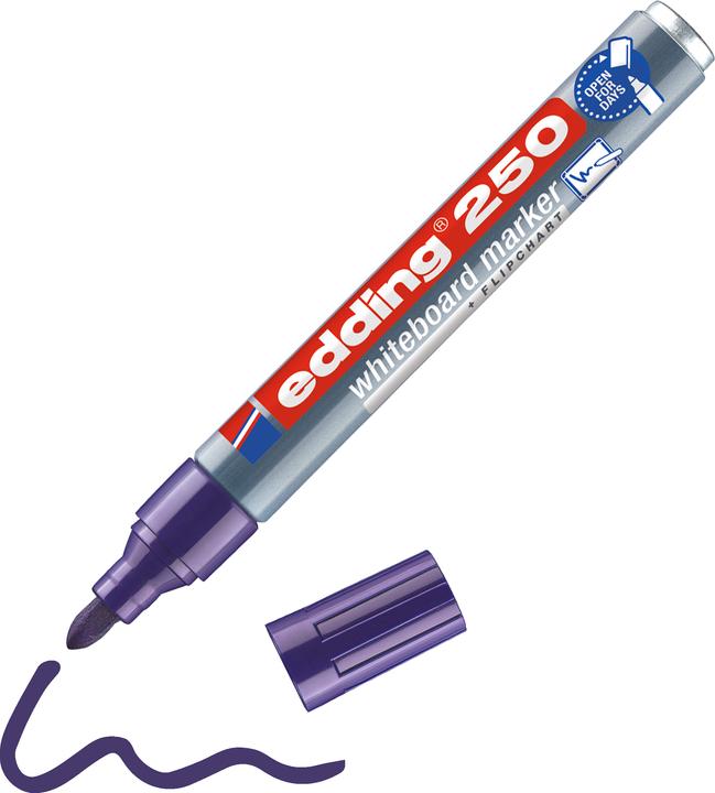 Actual product image Edding 250 (Violet, 3 mm, 1 x)