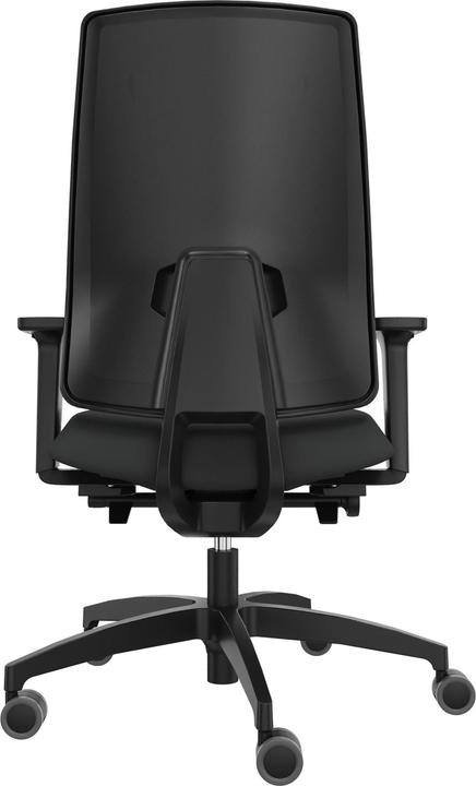 Actual product image Dauphin Indeed (40 - 52 cm)