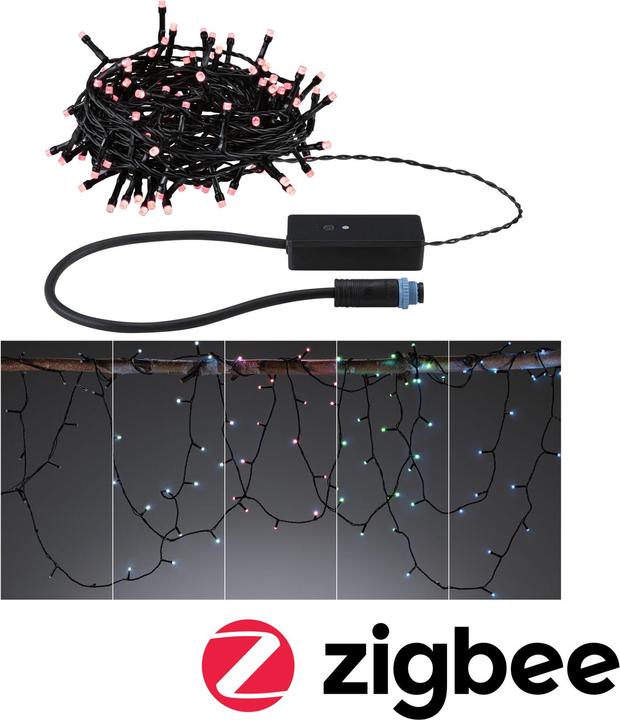 Paulmann Outdoor Plug & Shine Lichterkette Yuna (12.40 m)