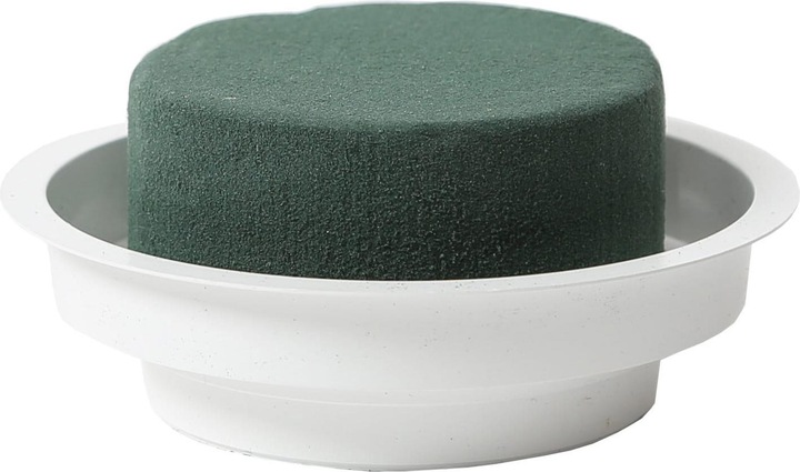 Actual product image Oasis Plug-in foam