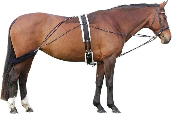 Actual product image Hy Horse Lunging System
