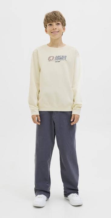 Produktbild Jack & Jones Jcotier Print Sweat Crew Neck Sn Jnr (152)