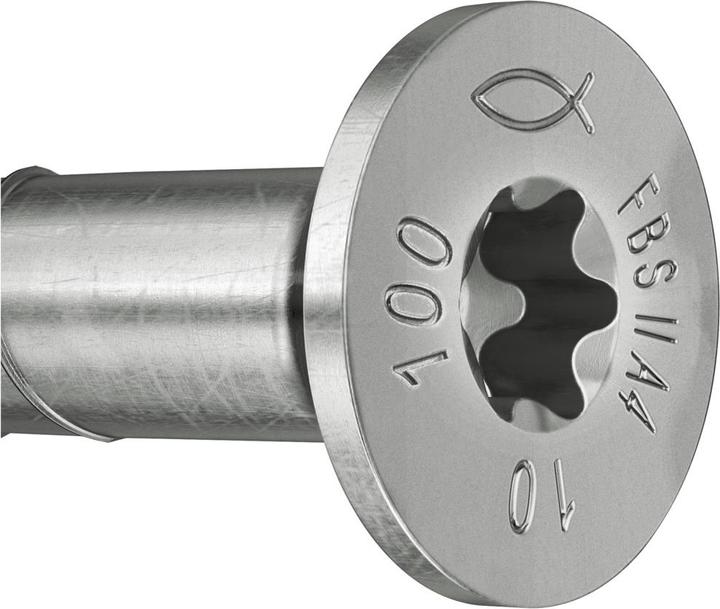 Actual product image Fischer 558246 (50 Screws per piece)