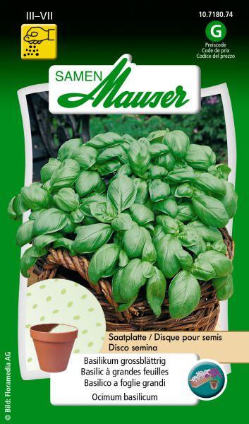 Samen Mauser Assiette de graines à grandes feuilles de basilic (Graines d'herbes aromatiques)