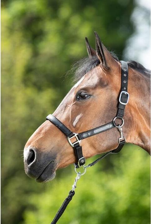 Produktbild HFI Master First