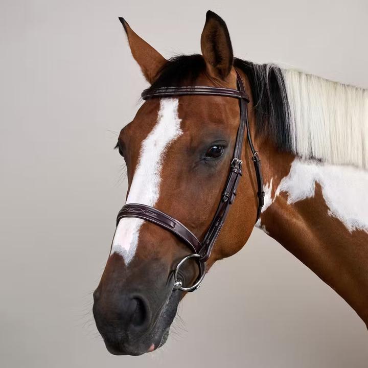 Image du produit Dy'on Cavesson Hunter US Collection