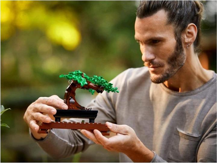 Produktbild LEGO Bonsai Baum (10281, LEGO Botanical, LEGO Icons)