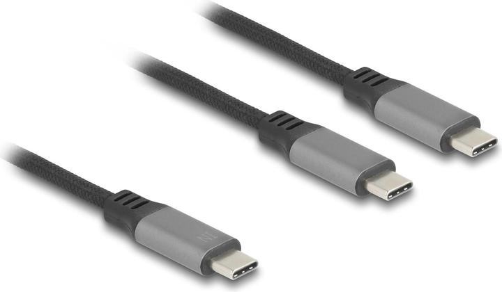 Image du produit Delock 81271 - Câble USB-C en Y 1 x mâle vers 2 x mâle PD 3.0 100 W, 1,2m (1.20 m, USB 2.0, 100 W)