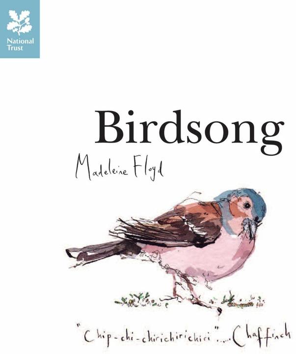 Produktbild Birdsong (Englisch, Madeleine Floyd, 2010)