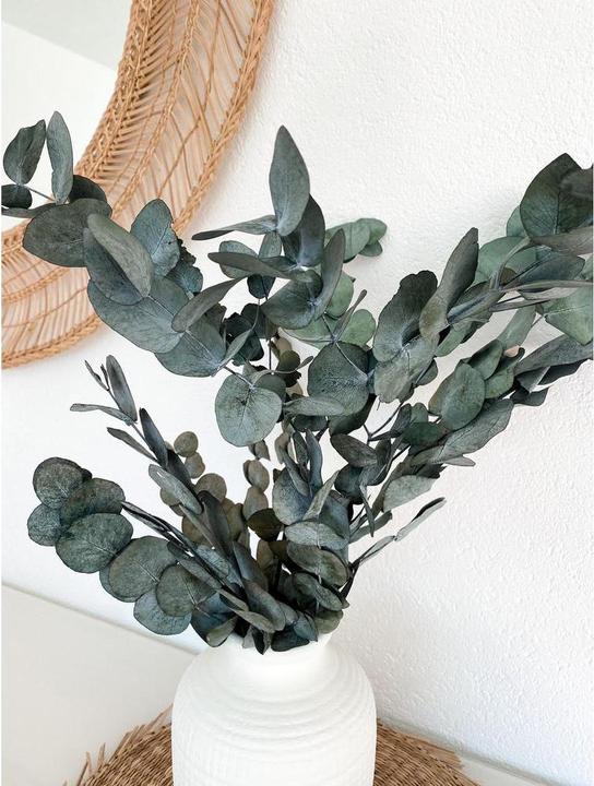 Immagine prodotto Soli Collection Fiori secchi Eucalyptus 40-55 cm (Fiori secchi)