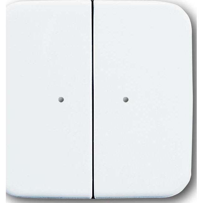 Busch-Jaeger, Lichtschalter + Storenschalter, Wandsender WaveLINE 2 Kanal 2CKA006730A0047