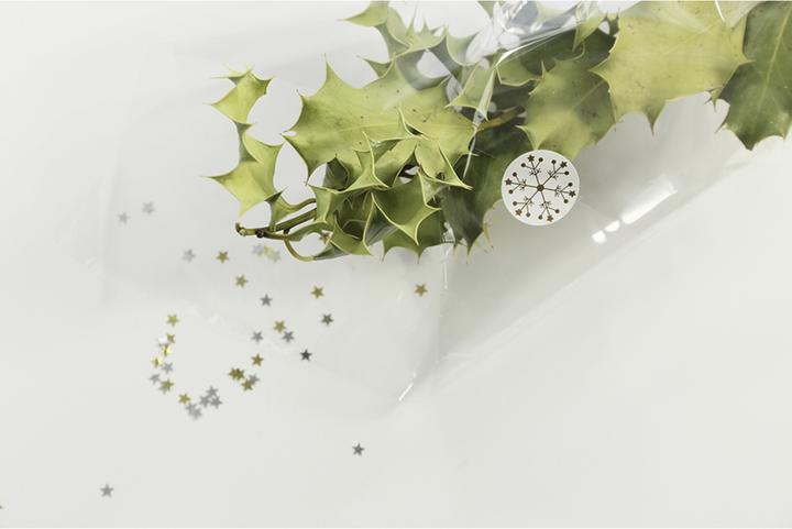 Actual product image Clairefontaine Slides (1x)