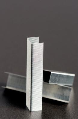 Actual product image Rapid Standard (1000 x)