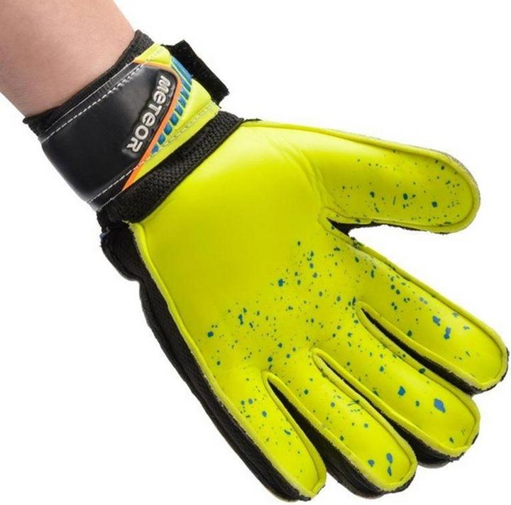 Produktbild Ty Defense TorhüterHandschuhe (8)