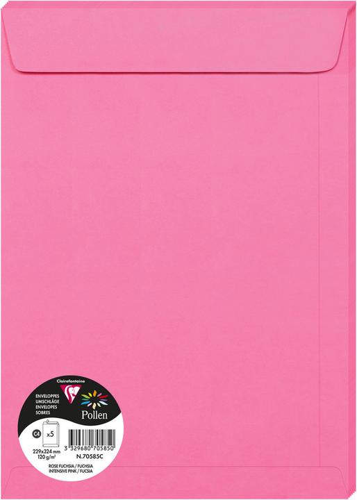 Pollen Buste di polline (400 x)