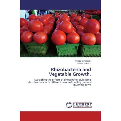 Rhizobacteria and Vegetable Growth., Fachbücher von Diriba Muleta, Abebe G/meskel