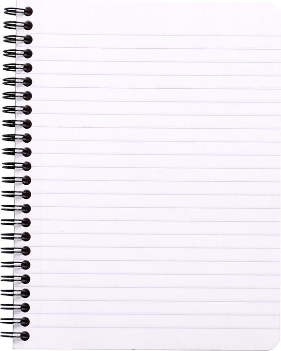 Actual product image Rhodia Notebooks/Notebooks Classic (A1, Lined)