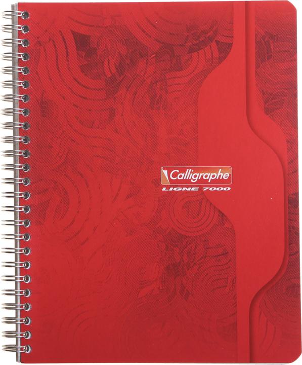 Immagine prodotto Clairefontaine Linea 7000 (Copertina morbida)