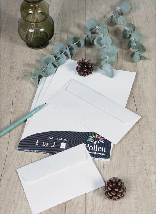 Actual product image Pollen Envelopes (C6, 20 x)