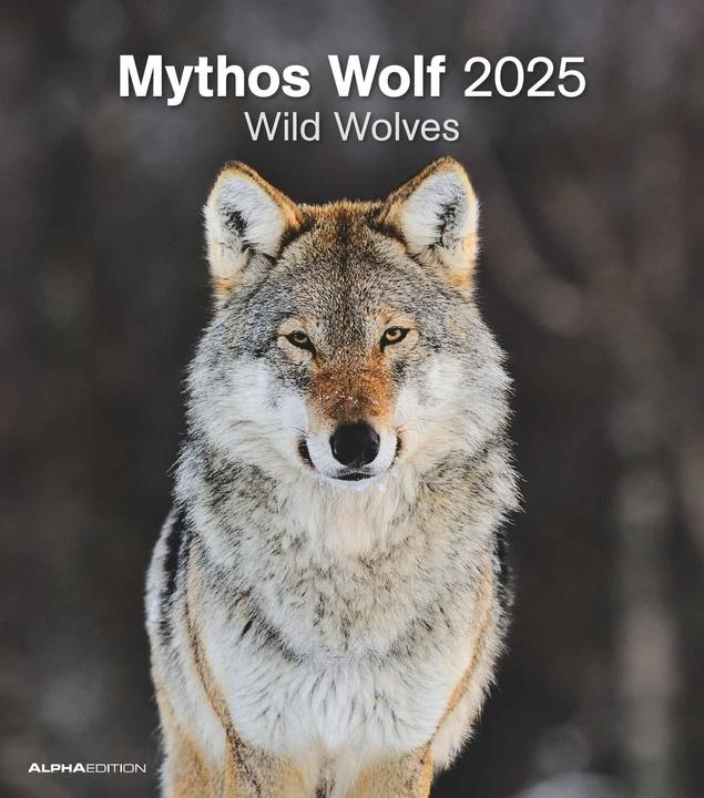 Mythos Wolf 2025 - Foto-Kalender - Wand-Kalender - 30x34 (30 x 34 cm)