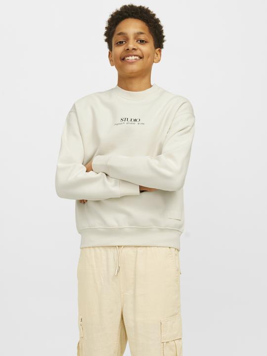 Actual product image Jack & Jones Printed Sweatshirt For Boys Sweatshirt (164)