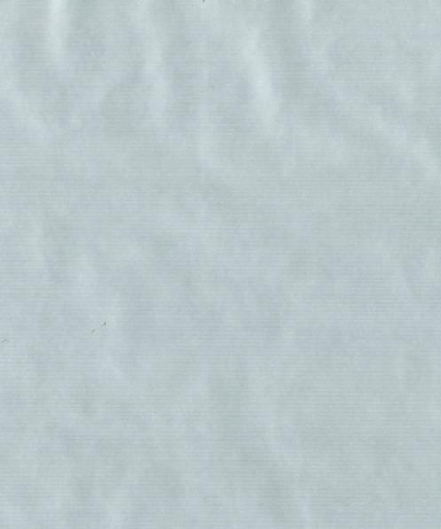 Produktbild Neutral Natura Kraft (1x)