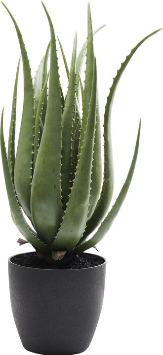 Produktbild Kare Design Aloe (69 cm)