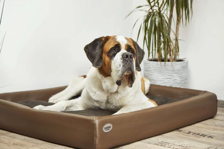 Produktbild Sabro Hundebett Kudde (Hund)