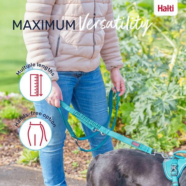 Actual product image Company of Animals Halti Anatomy L multifunctional leash (L, Dog, Walks)
