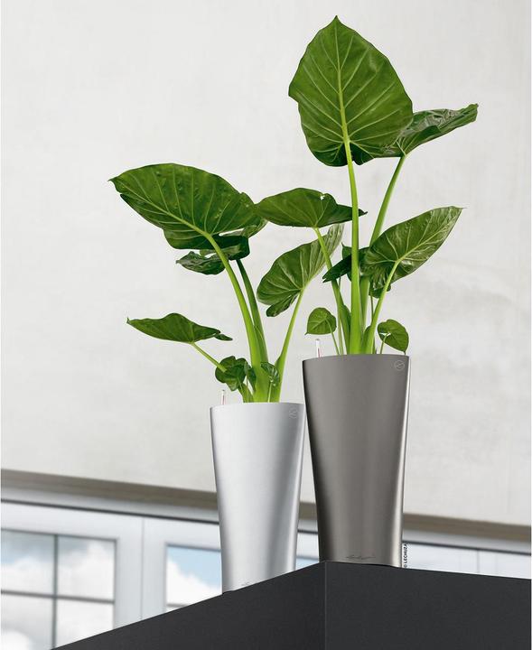 Actual product image Lechuza Delta (39 x 75.50 cm)