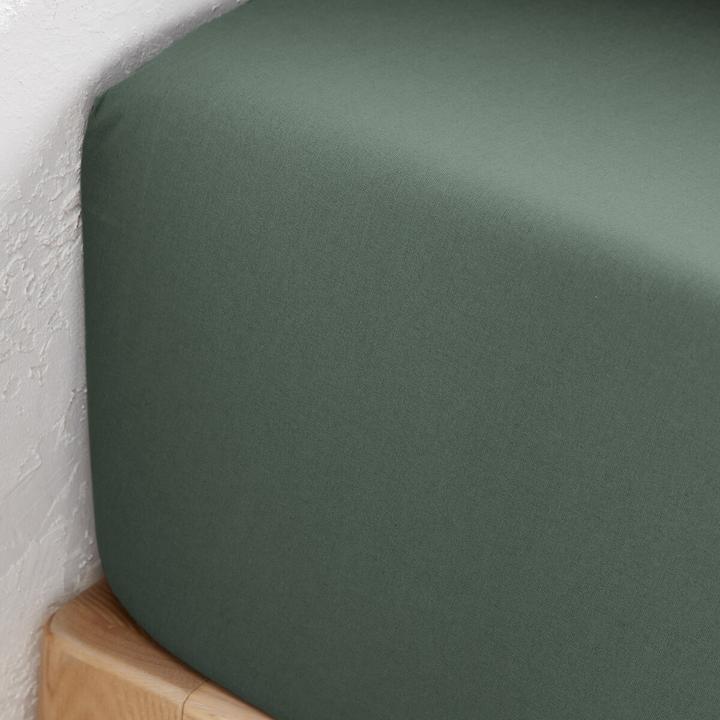 Actual product image La Redoute Interieurs Scenario Bio (Duvet cover, 90 x 200 cm)