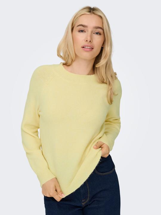 Actual product image Only ONLRICA Strickpullover Strickpullover (M)