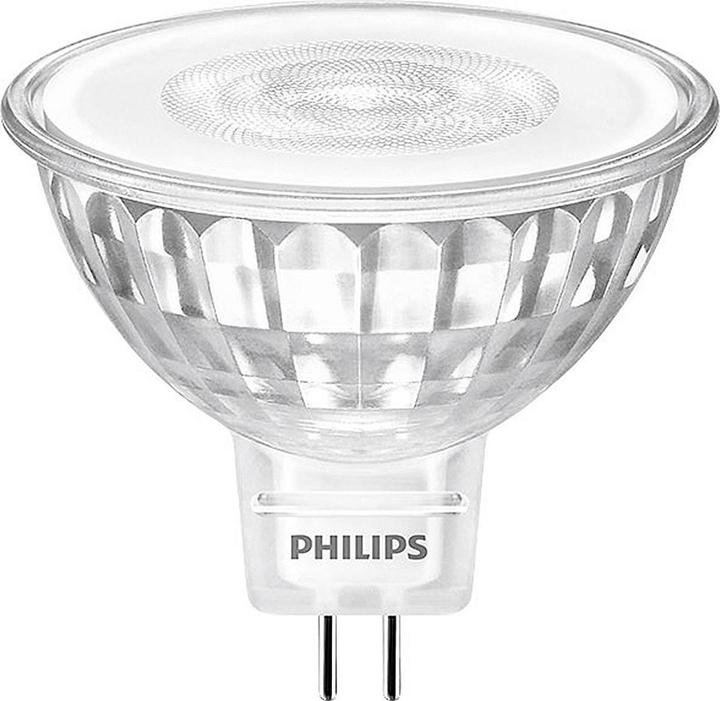 Philips Professional Master (GU5.3, 450 lm, 1 x)