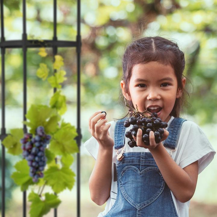 Image du produit Relaxdays Guillermo (40 x 40 x 50 cm)