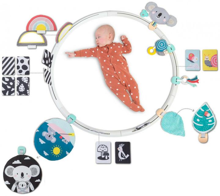Actual product image Taf Toys Activities Hoop All Around Me