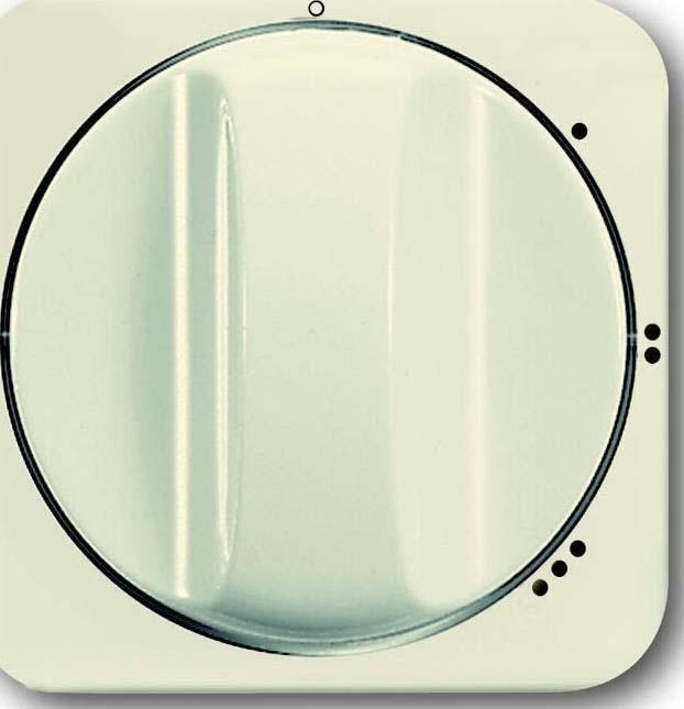 Produktbild Busch-Jaeger Zentralscheibe