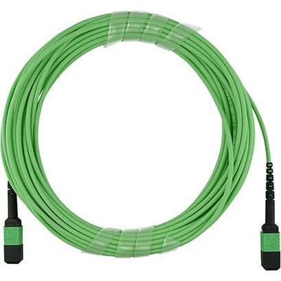 BlueOptics LWL MTP Trunkkabel OM5 12 Kerne 1 Meter Typ B (1 m), Netzwerkkabel
