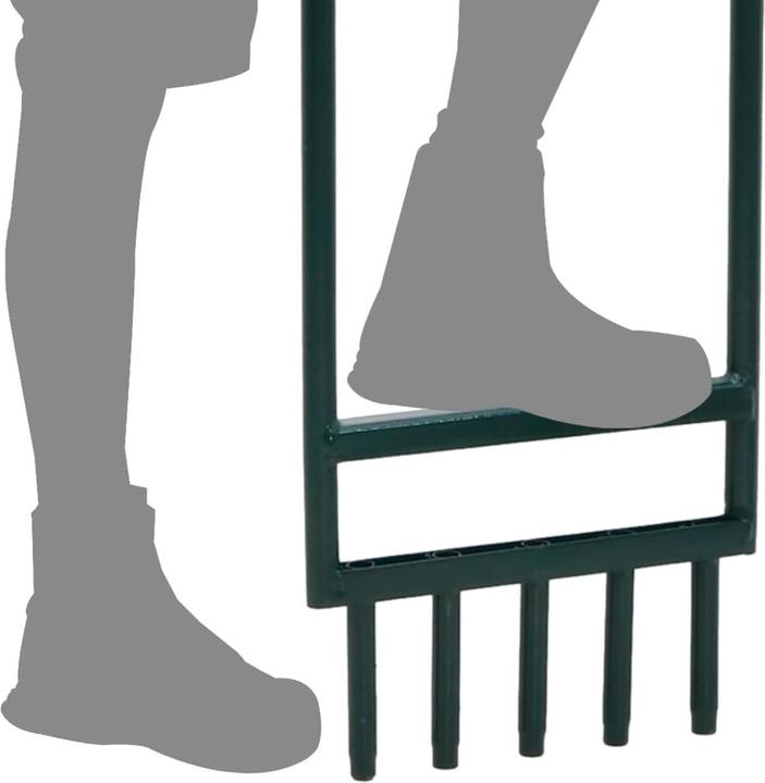 Image du produit VidaXL Aérateur de gazon avec 5 dents creuses Revêtement en poudre